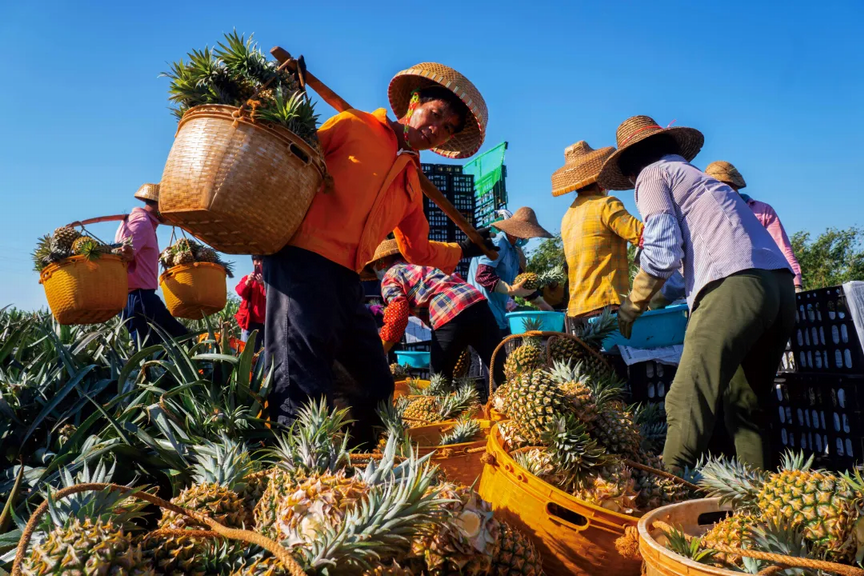 调整大小 1.png 调整大小 1.png