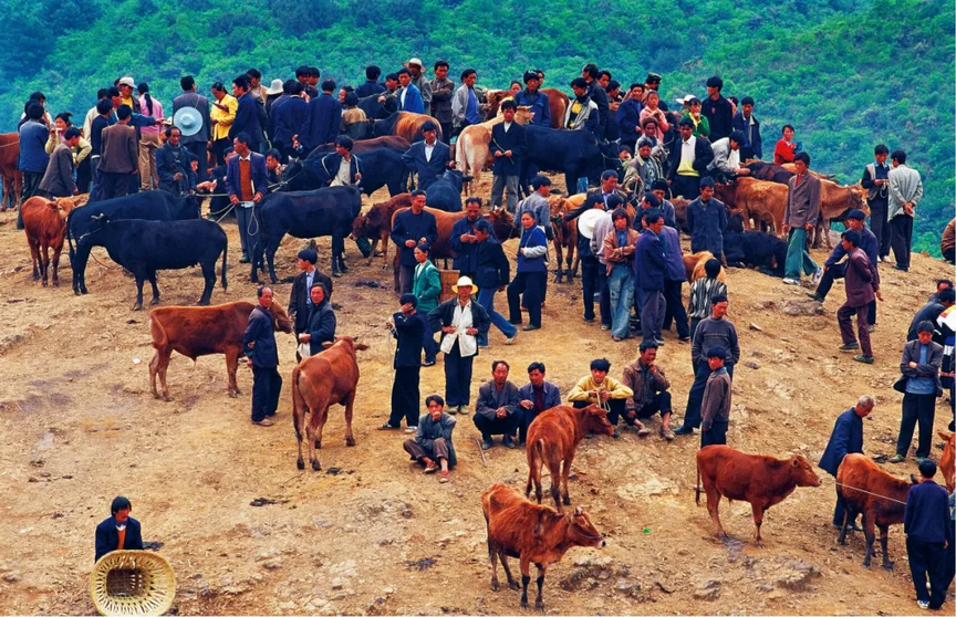 调整大小 3.png 调整大小 3.png