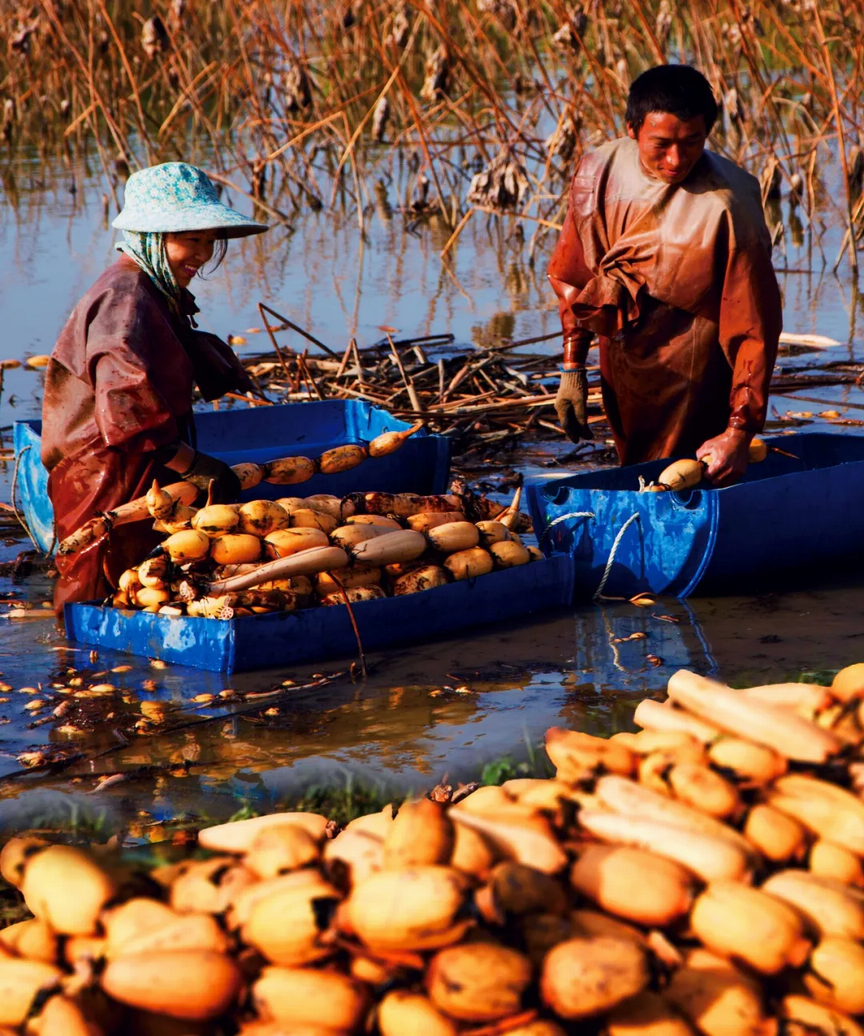 调整大小 8.png 调整大小 8.png